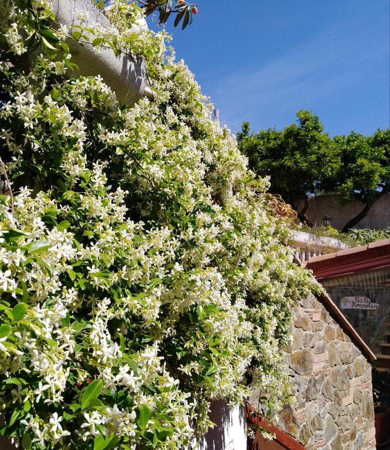 B&B Nonnotano Nocera Terinese Exterior foto